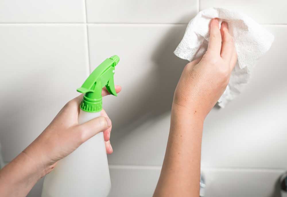 Lake Home Help Cleaning Services